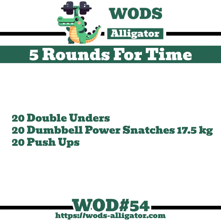 5RFT 20 Double Unders 20 Dumbbell Power Snatches 12.5 kg 20 Push Ups