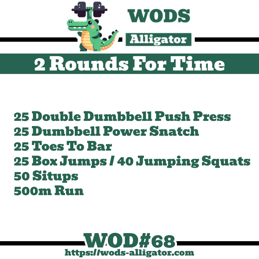 2 Rounds For Time 25 Double Dumbbell Push Press 25 Dumbbell Power Snatch 25 Toes To Bar 25 Box Jumps / 40 Jumping Squats 50 Situps 500m Run