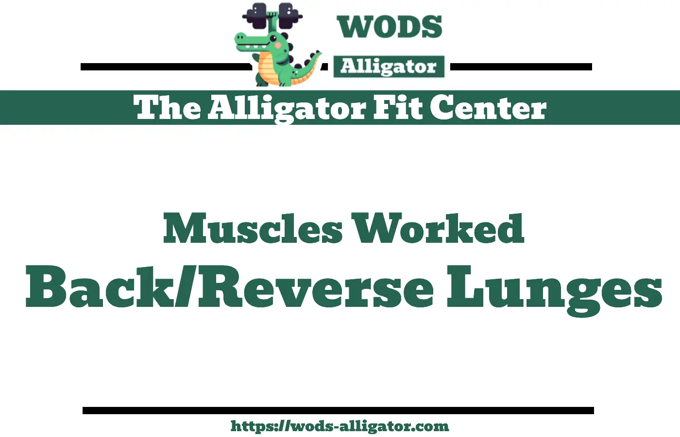 Muscles Worked Back/Reverse Lunges