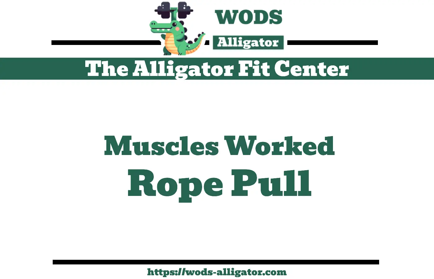 Muscles Worked Rope Pull