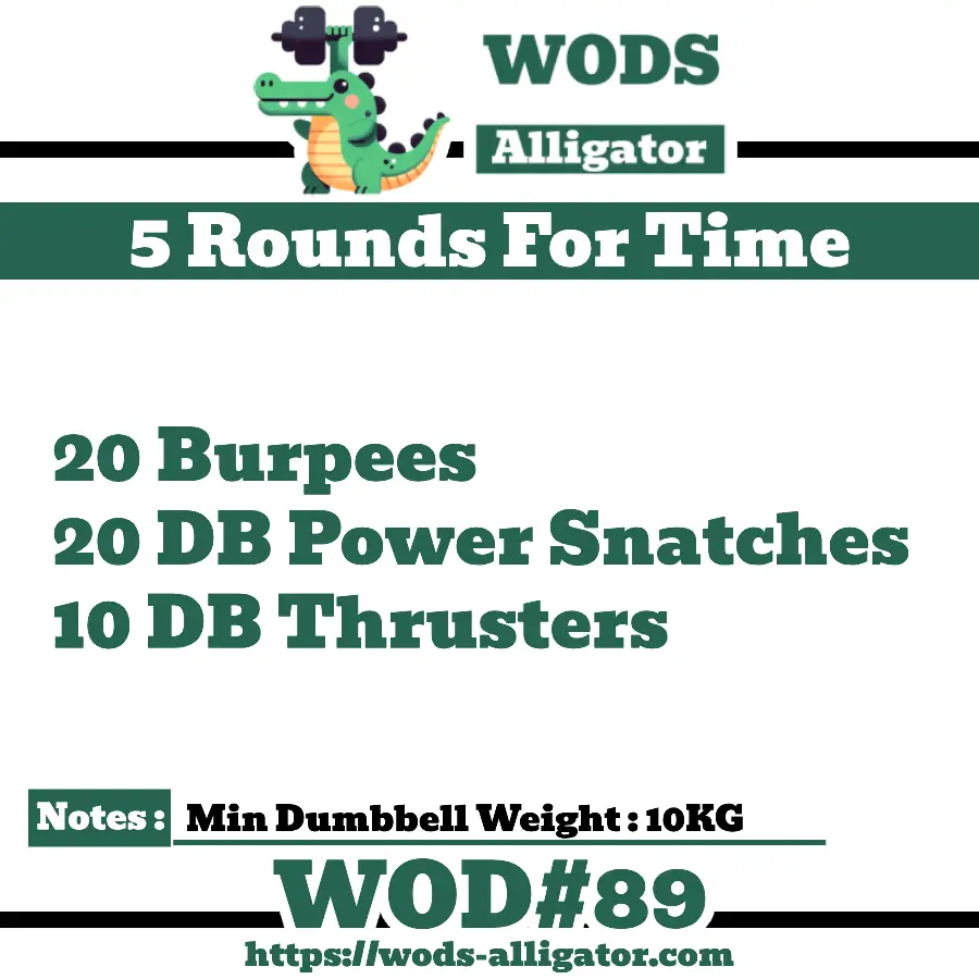 #89- 5 RFT WOD 20 Burpees 20 DB Power Snatches 10 DB Thrusters
